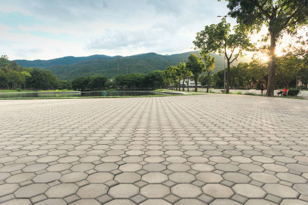 Best Driveway Pavers Contractor  in Howard City, MI